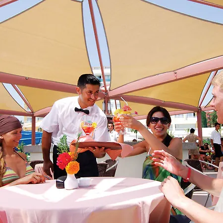 Complex Lycus Okurcalar