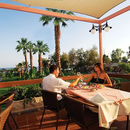 Complex Lycus Okurcalar