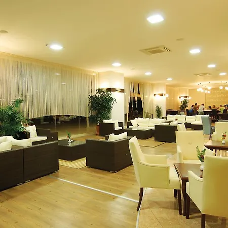 Complex Lycus Okurcalar