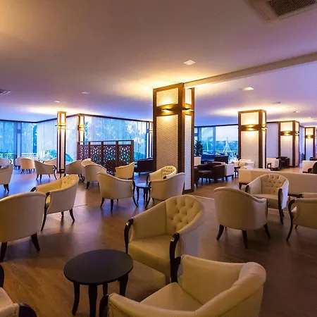 Complex Lycus Okurcalar